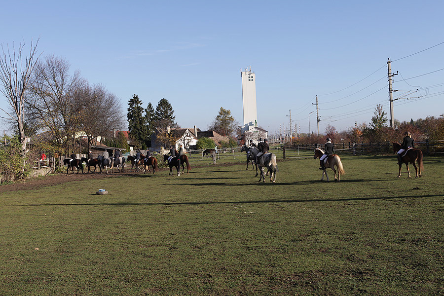 hubertusritt2013-52