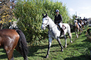 hubertusritt2013-41