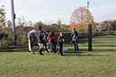 hubertusritt2013-46