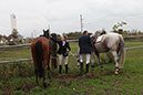 hubertusritt-2014-075